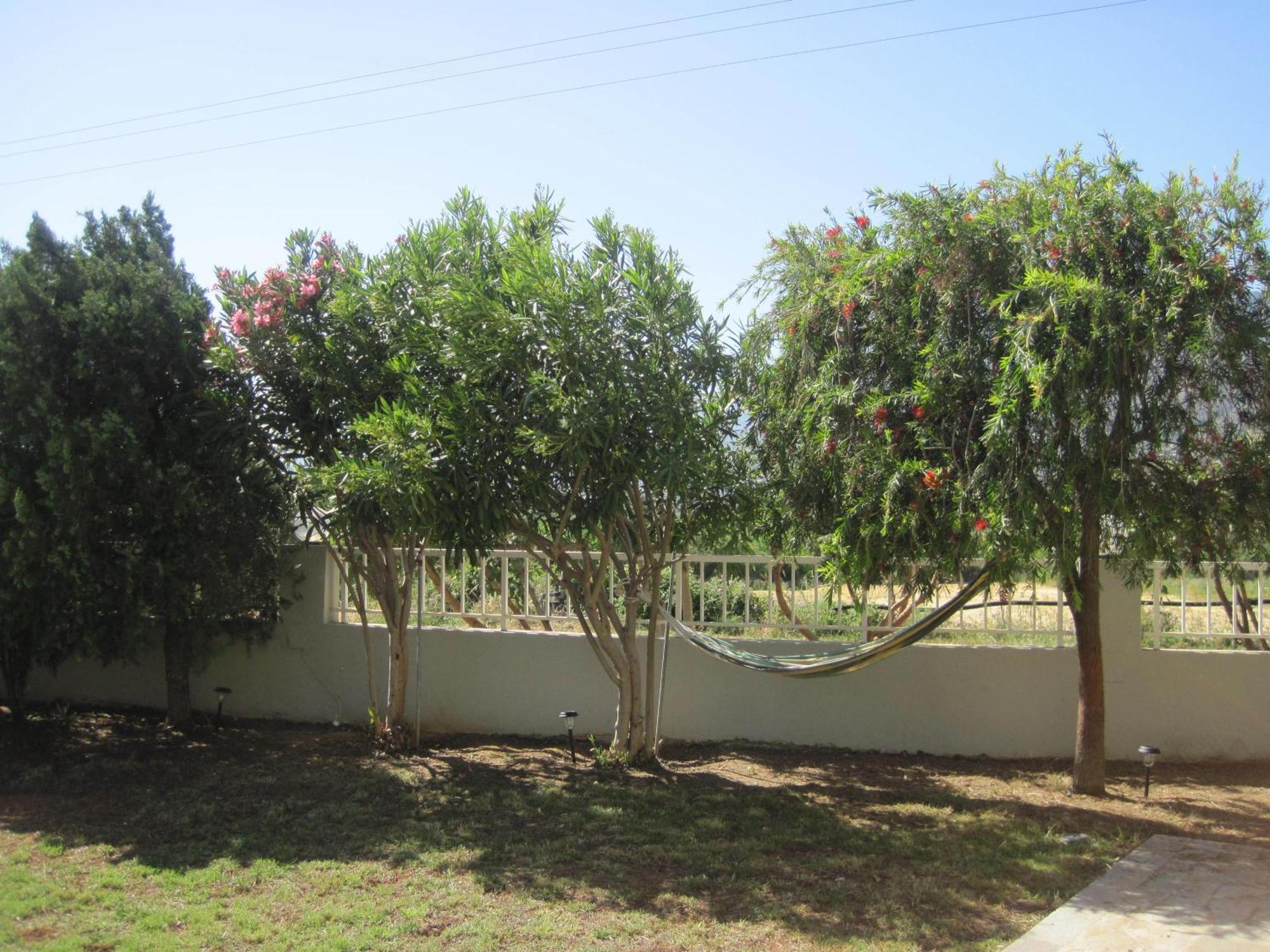 To Livadi Apartamento Lefkogeia Exterior foto